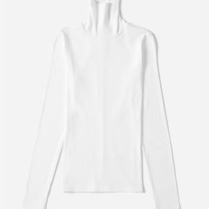 NWT Everlane The Pima Micro Rib Turtleneck